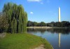 Constitution Gardens